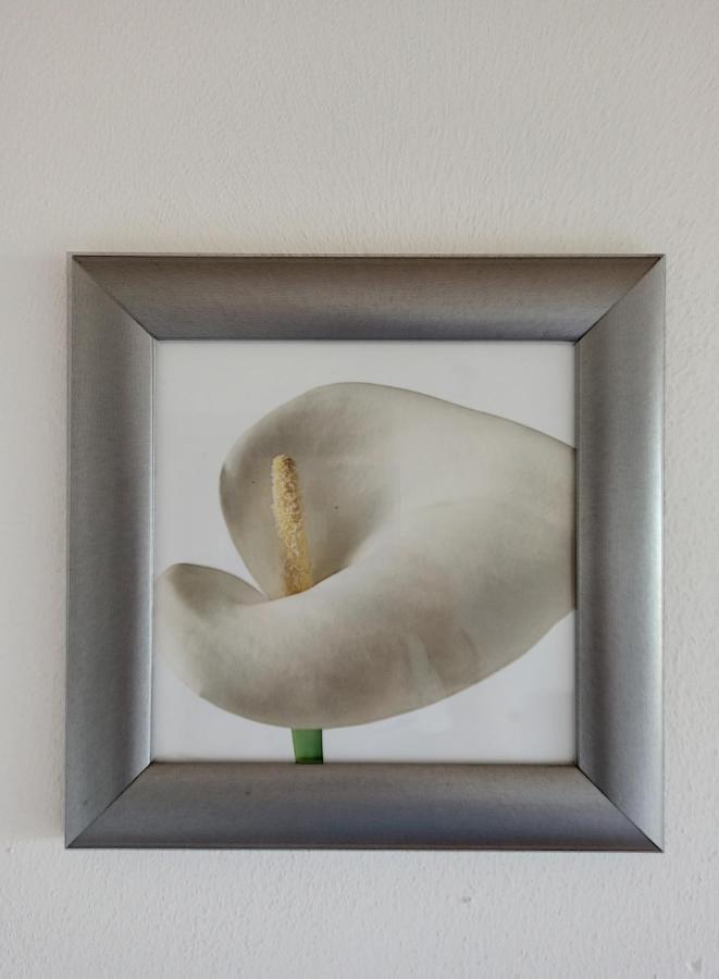 Apartment Feel At - Casa Sofia Lovere